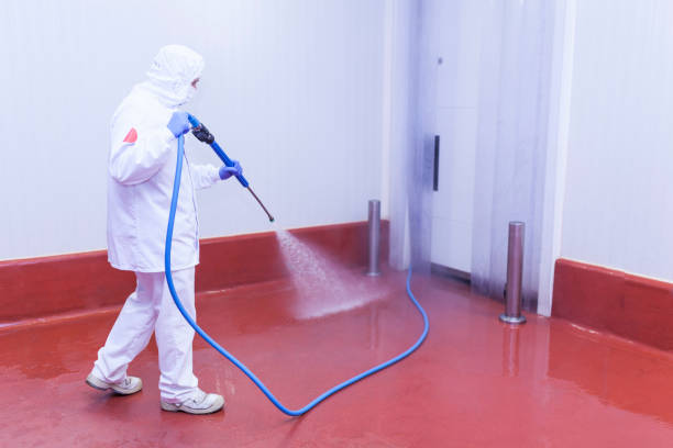 Playground Equipment Cleaning in La Palma, CA